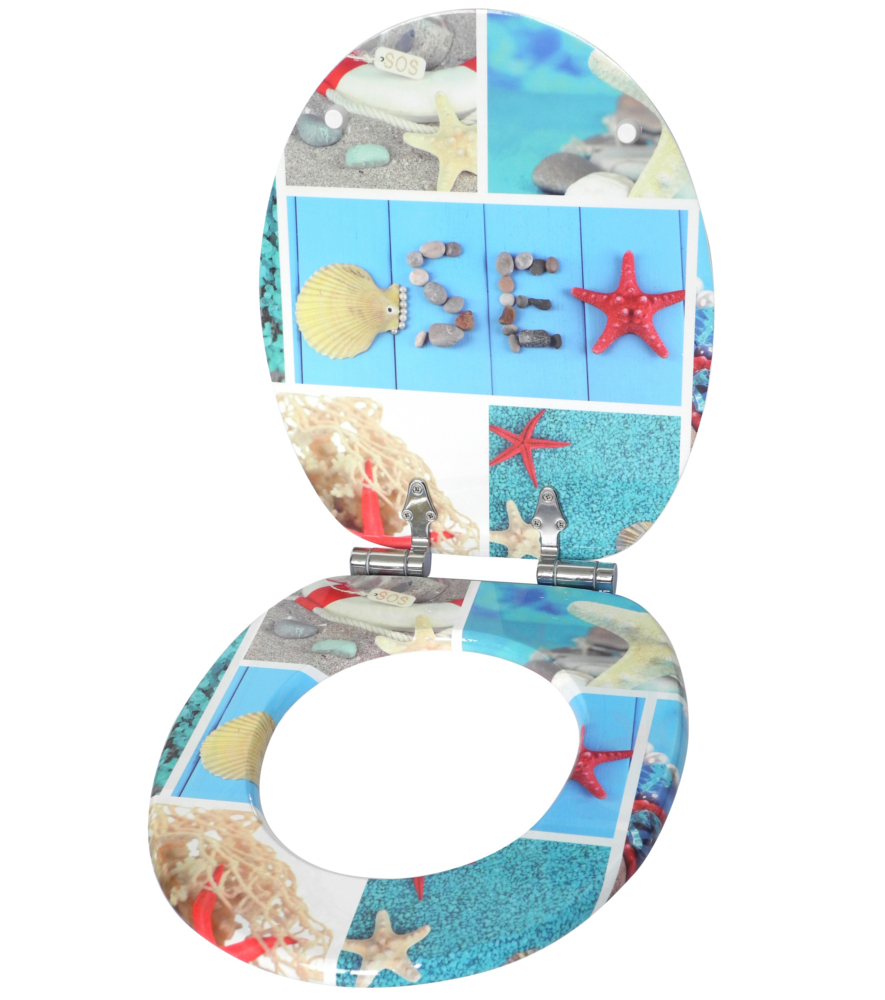 Toilet Seat Allen Key