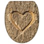 WC-Sitz mit Absenkautomatik und Schnellverschluss True Love - Premium Toilettendeckel direkt vom Hersteller