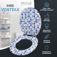 Soft Close Toilet Seat Mosaic Blue