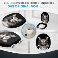WC-Sitz mit Absenkautomatik Cool Cat - Premium Toilettendeckel direkt vom Hersteller