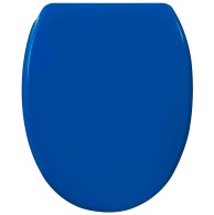 Soft Close Toilet Seat Blue